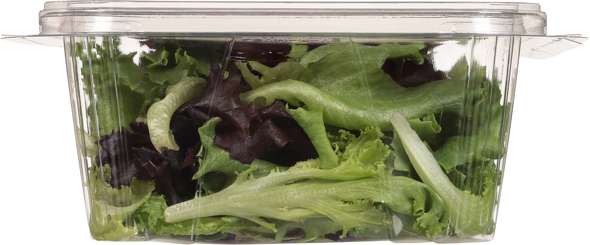 slide 8 of 10, Little Leaf Farms Baby Red & Green Leaf Lettuce 4 oz, 4 oz