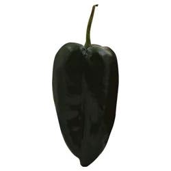 Poblano Pepper