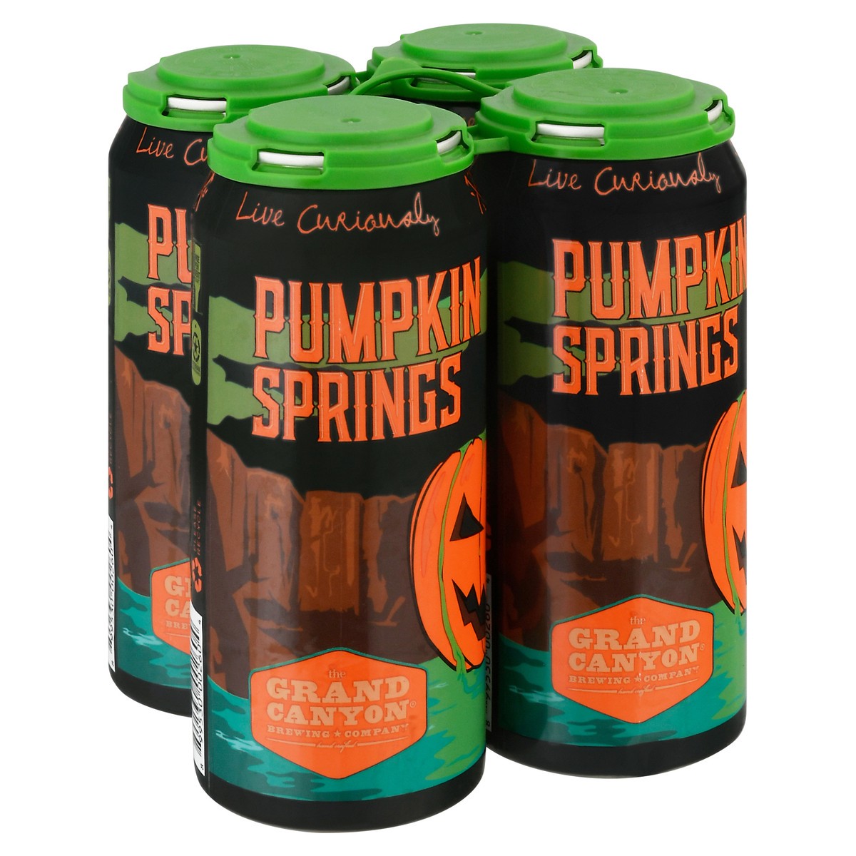 slide 3 of 9, Grand Canyon Pumpkin Springs Spice Porter Beer 4-16 fl oz Cans, 4 ct