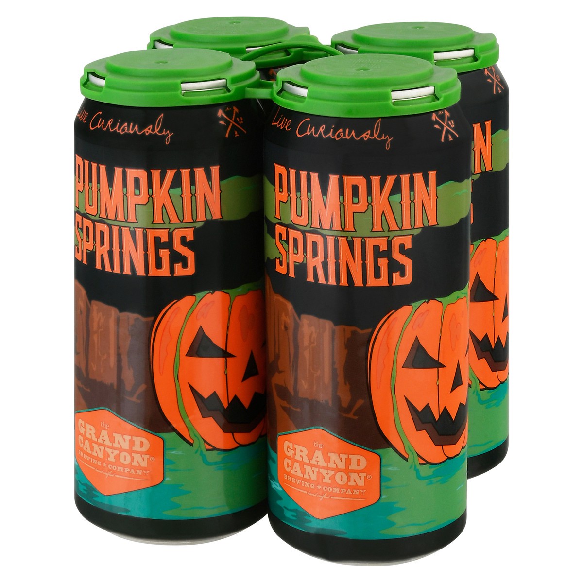 slide 9 of 9, Grand Canyon Pumpkin Springs Spice Porter Beer 4-16 fl oz Cans, 4 ct