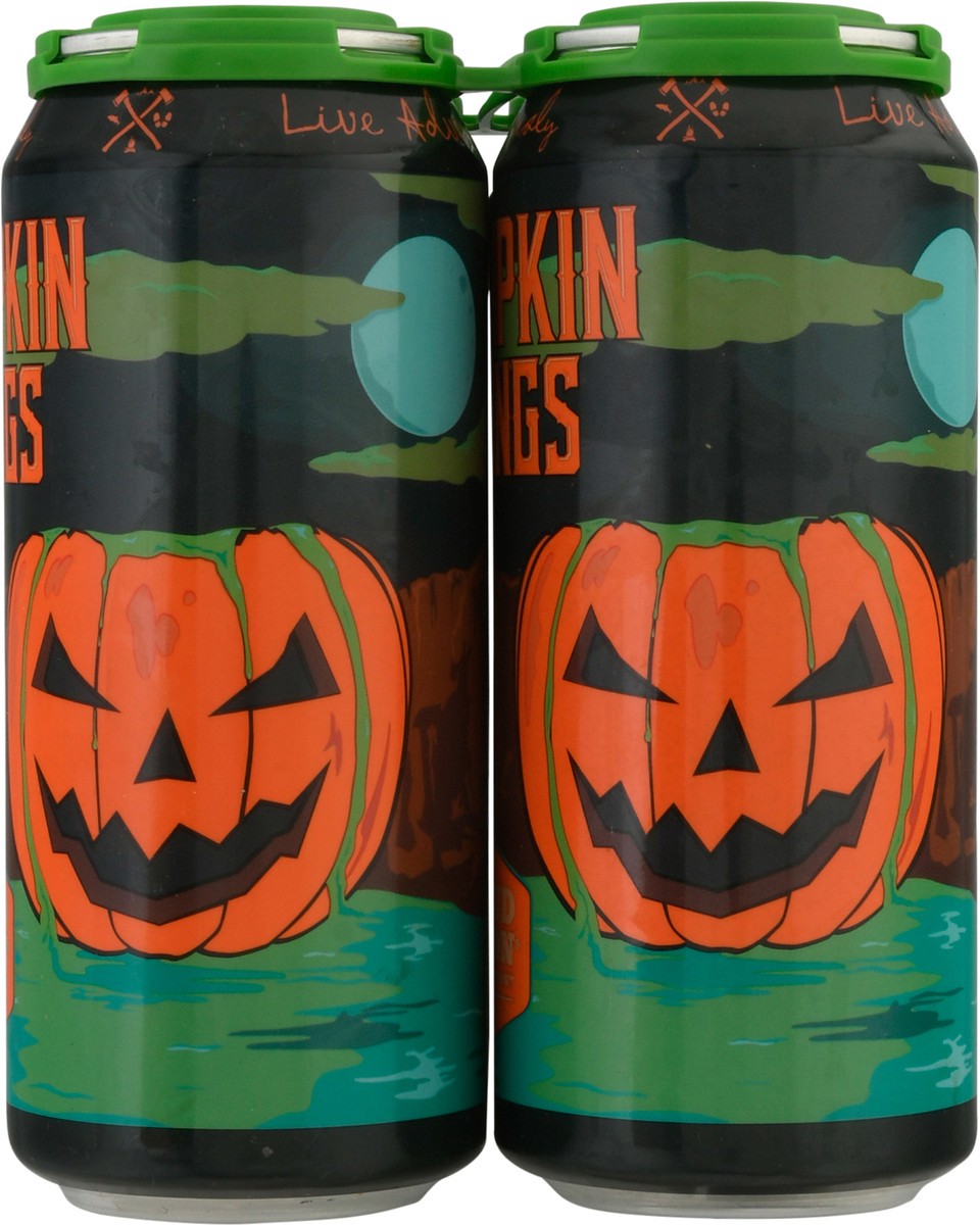 slide 7 of 9, Grand Canyon Pumpkin Springs Spice Porter Beer 4-16 fl oz Cans, 4 ct