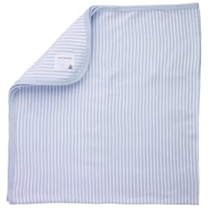 slide 1 of 1, Burt's Bees Baby Blanket, Sky Stripe, 1 ct