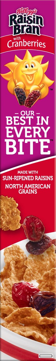 slide 3 of 10, Raisin Bran Breakfast Cereal Original with Cranberries Good Source of Fiber, 13.5 oz