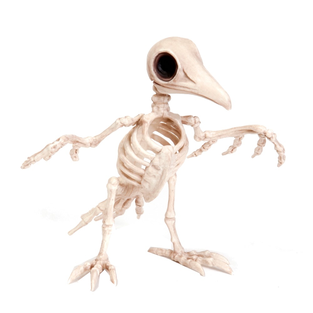 slide 1 of 1, Holiday Home Tweety Bonez Skeleton - Cream, 7.63 in