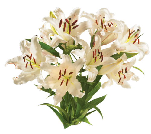 slide 1 of 6, Private Selection Bloom Haus Oriental Lily Bunch, 3 ct