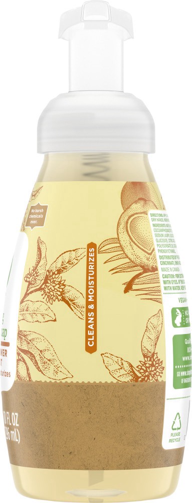 slide 3 of 6, Simple Truth Shea Flower & Coconut Foaming Hand Soap, 10 oz