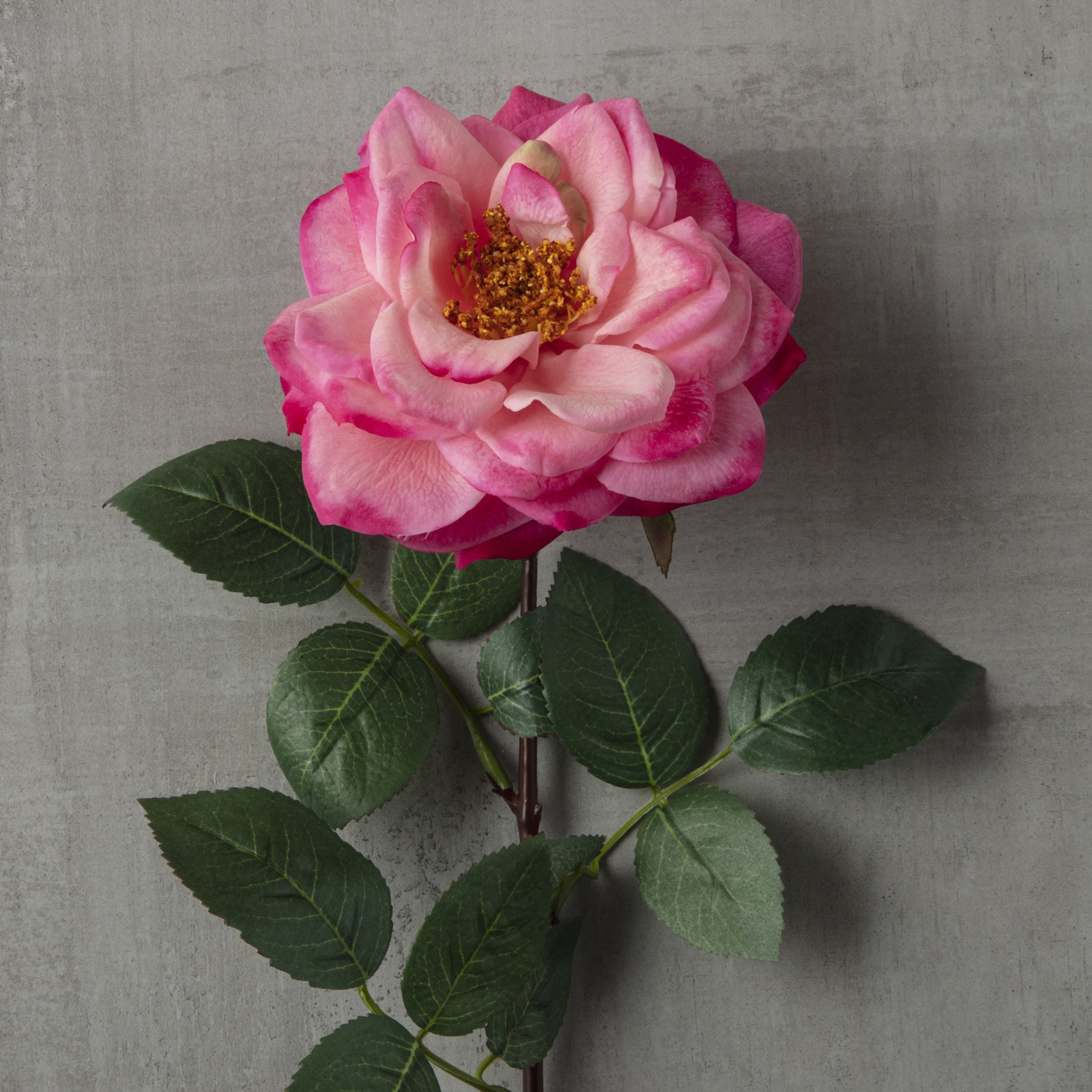 slide 2 of 3, Garden Bloom Orlane Rose Stem Ashland, 27 in