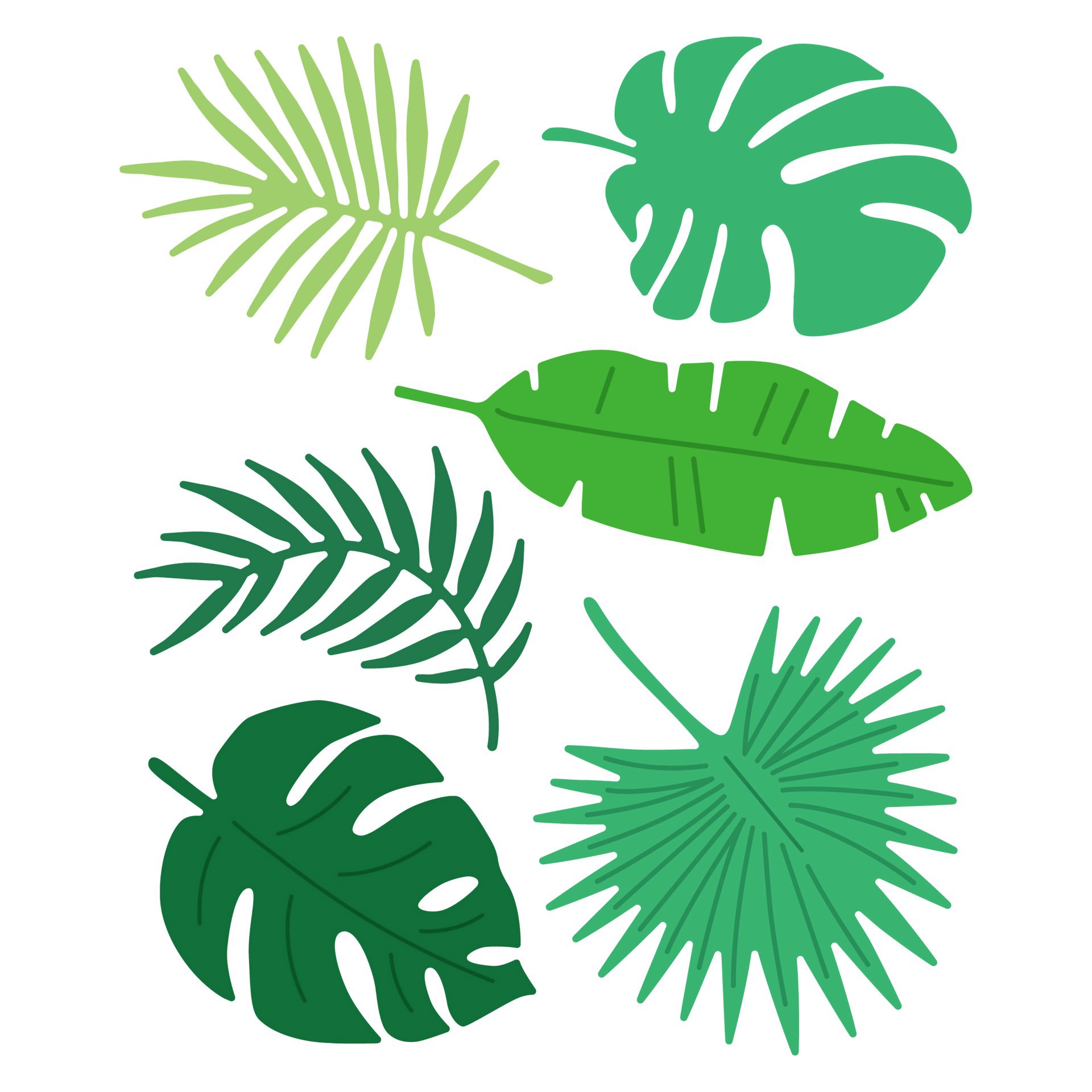 slide 3 of 3, Tropical Leaves Cutting Die Set By Recollections, 4 in x 6 in