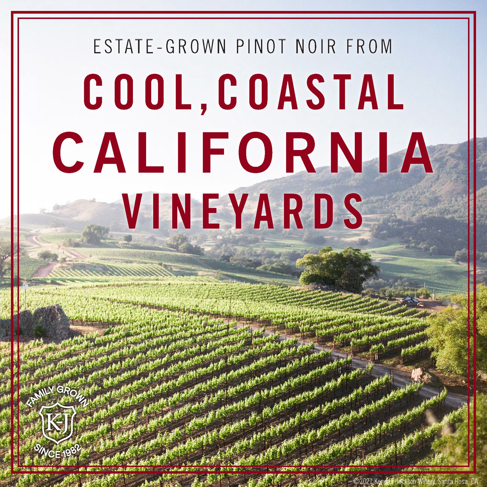 slide 5 of 5, Kendall-Jackson Vintner's Reserve California Pinot Noir Red Wine, 750ml, 750 ml