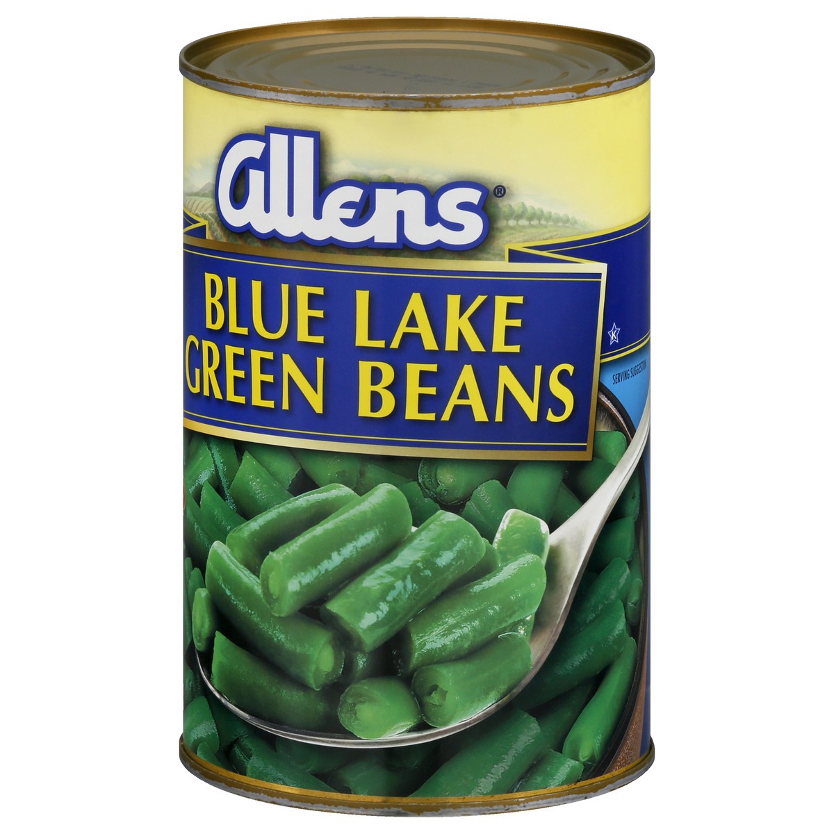 slide 9 of 9, Allens Blue Lake Green Beans 38 oz, 38 oz