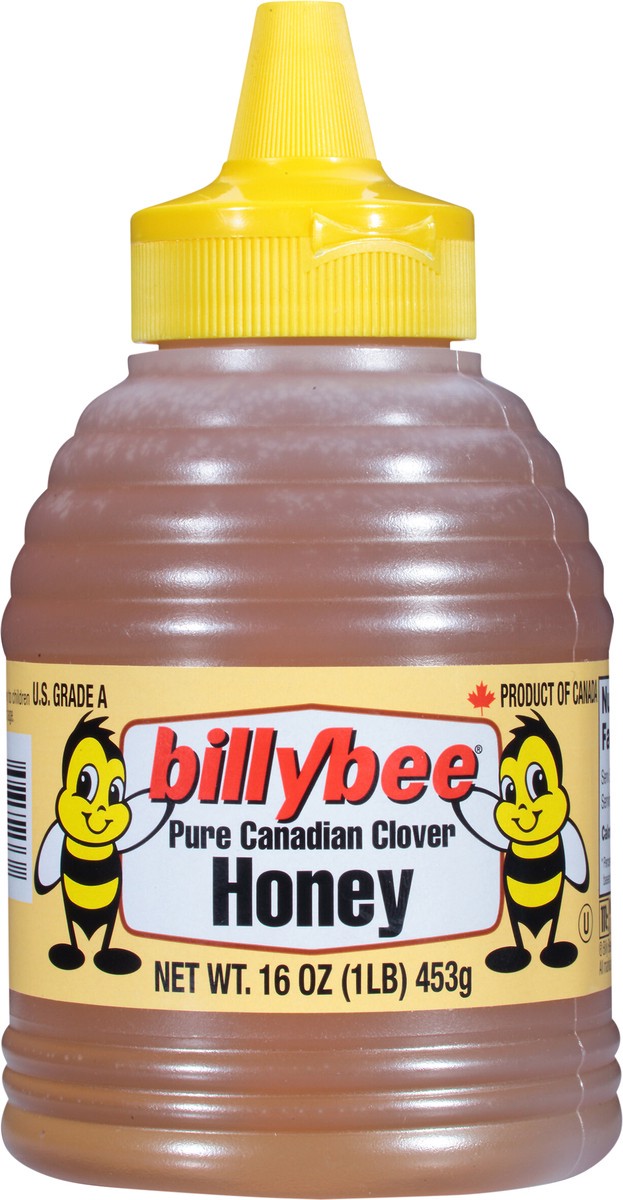 slide 7 of 7, Billy Bee Pure Canadian Clover Honey, 16 oz, 16 oz