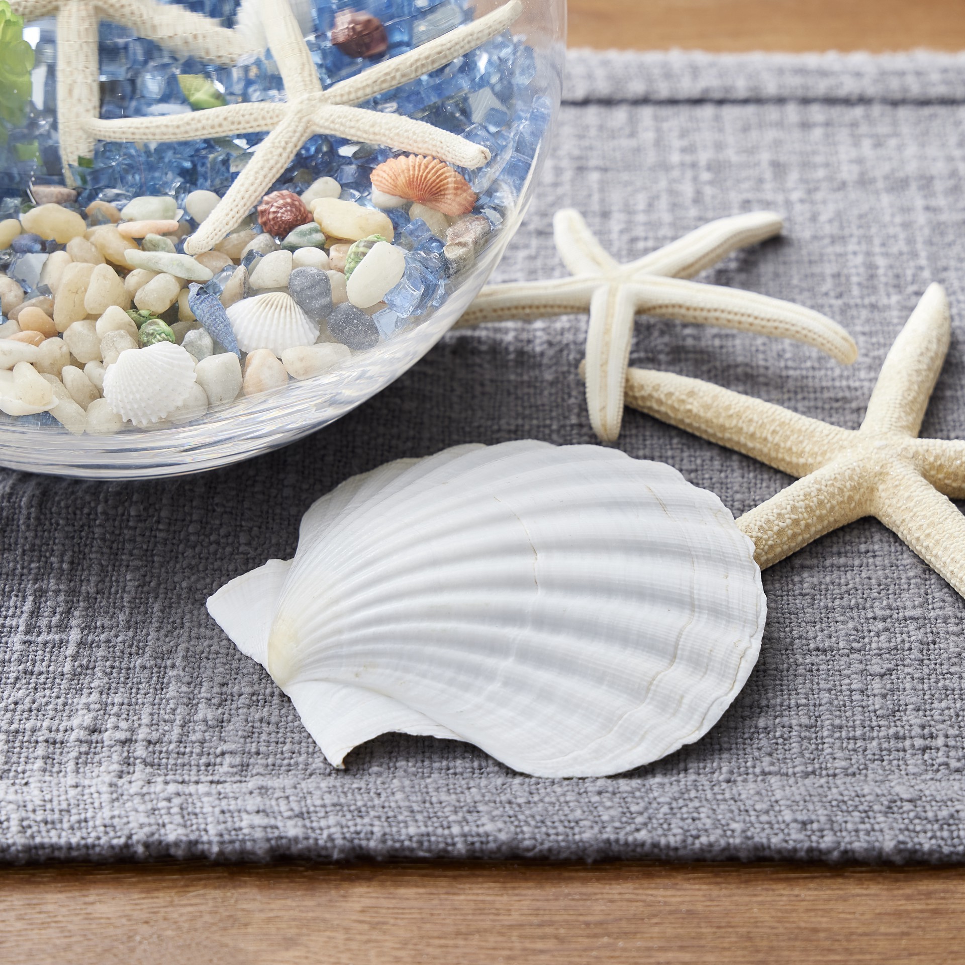 slide 2 of 4, U.s. Shell Inc. U.s. Shell Irish Deep Shell, 4.75 in to 5.5 in