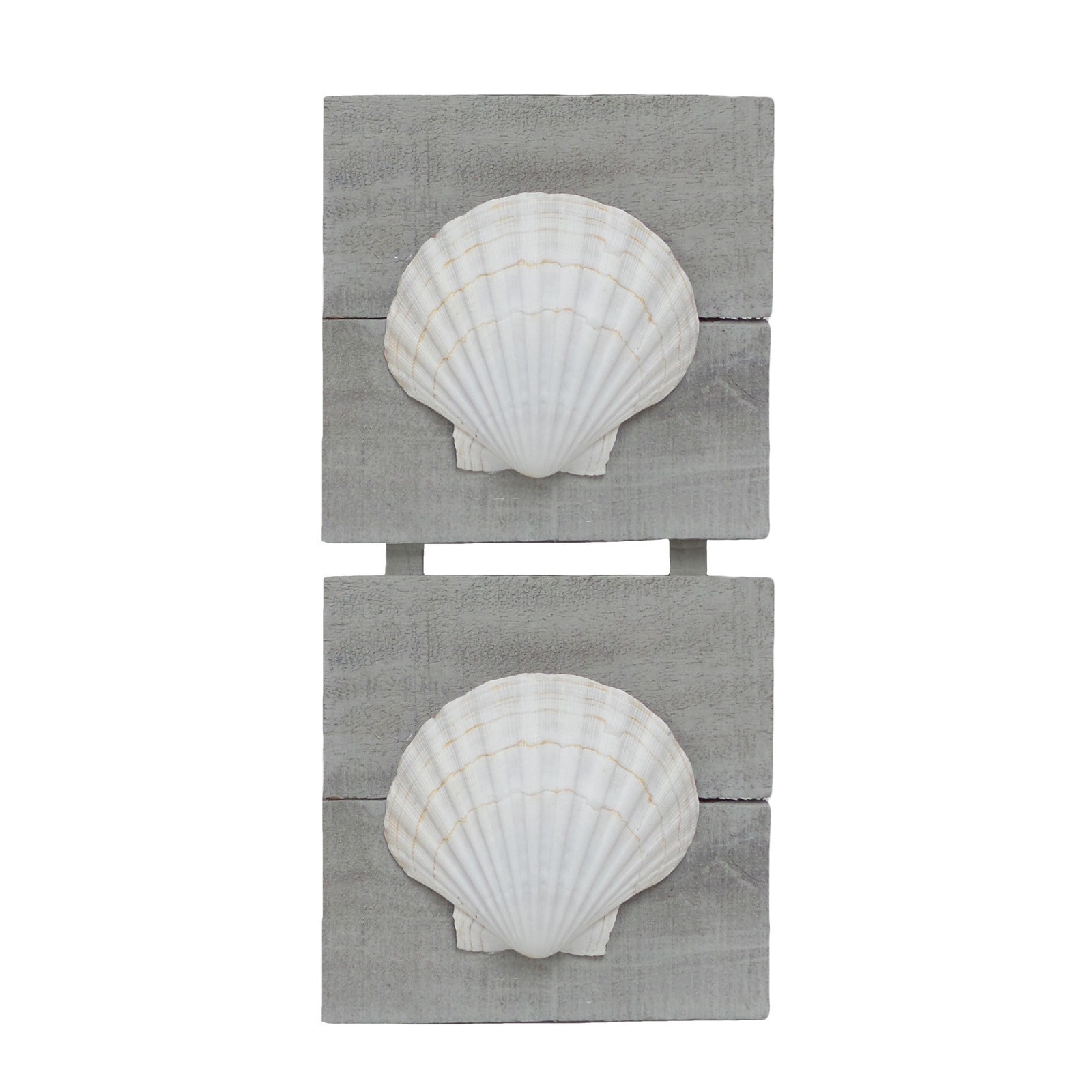 slide 3 of 4, U.s. Shell Inc. U.s. Shell Irish Deep Shell, 4.75 in to 5.5 in