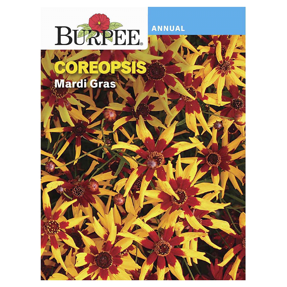 slide 1 of 1, Burpee Coreopsis Mardi Gras Seeds, 1 ct