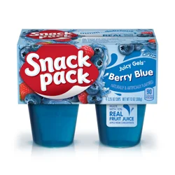 Snack Pack Berry Blue Flavored Juicy Gels, 3.25 oz Snack Cups, 4 Count, 12 Pack