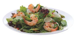 Signature Cafe Shrimp Salad