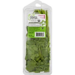 Nature's Promise Organic Cilantro Fresh