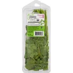Nature's Promise Organic Cilantro Fresh