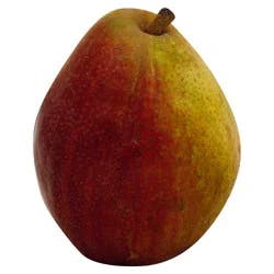 Fresh Large D'Anjou Red Pear - Each