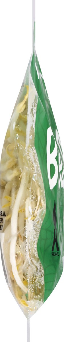 slide 7 of 9, Marjon Bean Sprouts 8 oz, 8 oz