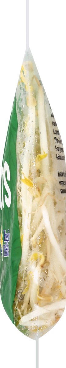 slide 5 of 9, Marjon Bean Sprouts 8 oz, 8 oz