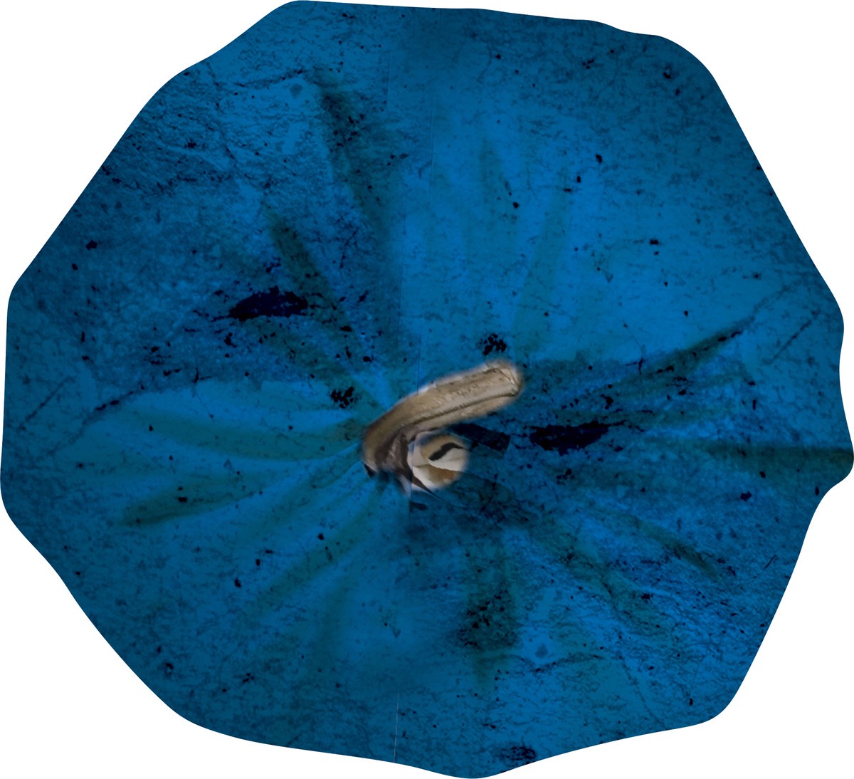 slide 3 of 9, Butterball All Natural Fresh Ground Turkey, 93%/7%, 1 Roll, 16 oz