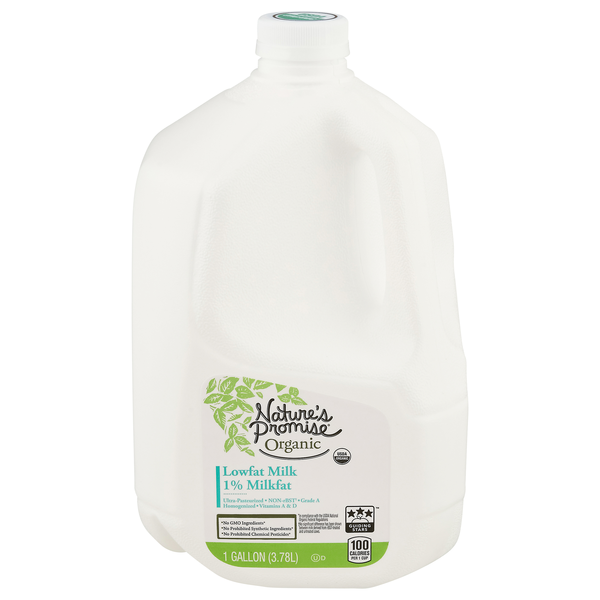 slide 1 of 1, Nature's Promise Organic 1% Low Fat Milk, 1 gal