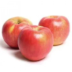 Organic Honey Crisp Apples