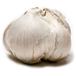 Christopher Ranch Garlic Elephant - Each