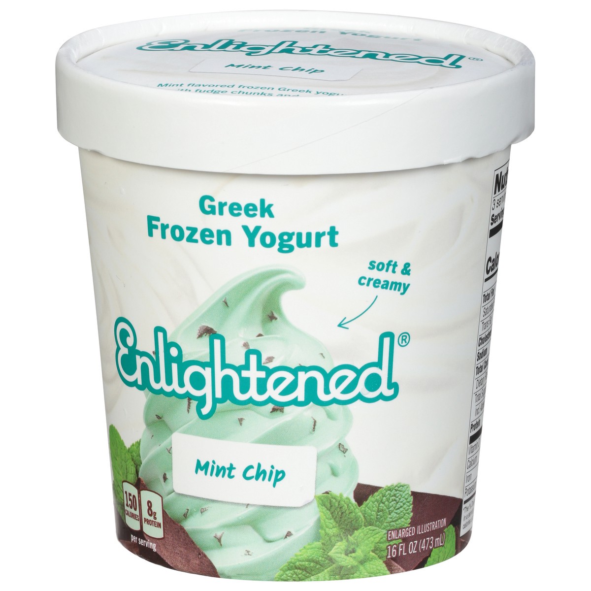 slide 3 of 9, Enlightened Mint Chip Greek Frozen Yogurt 16 fl oz, 1 pint