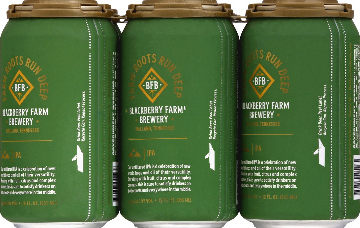 slide 8 of 11, Blackberry Farm Brewery IPA Beer 6 ea, 6 ct