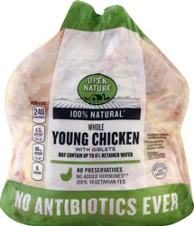 Fresh Frozen Perch Fillets