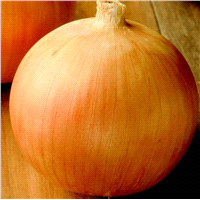 slide 3 of 5, Bonnie Plants Onions Sweet Jumbo Onion, 24 ct