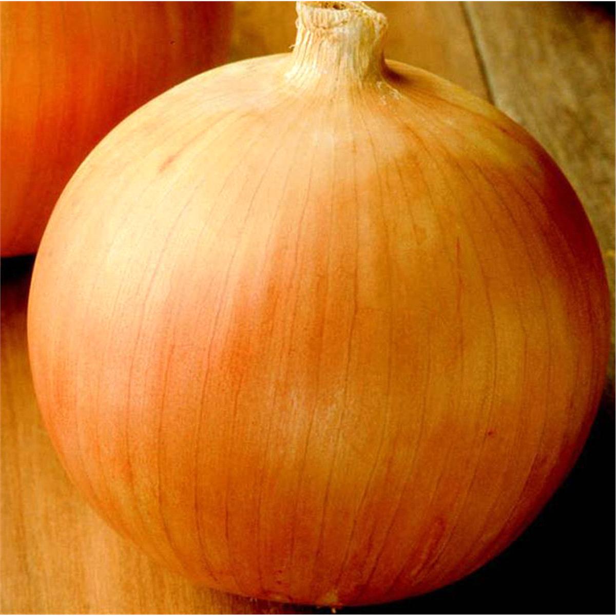 slide 5 of 5, Bonnie Plants Onions Sweet Jumbo Onion, 24 ct