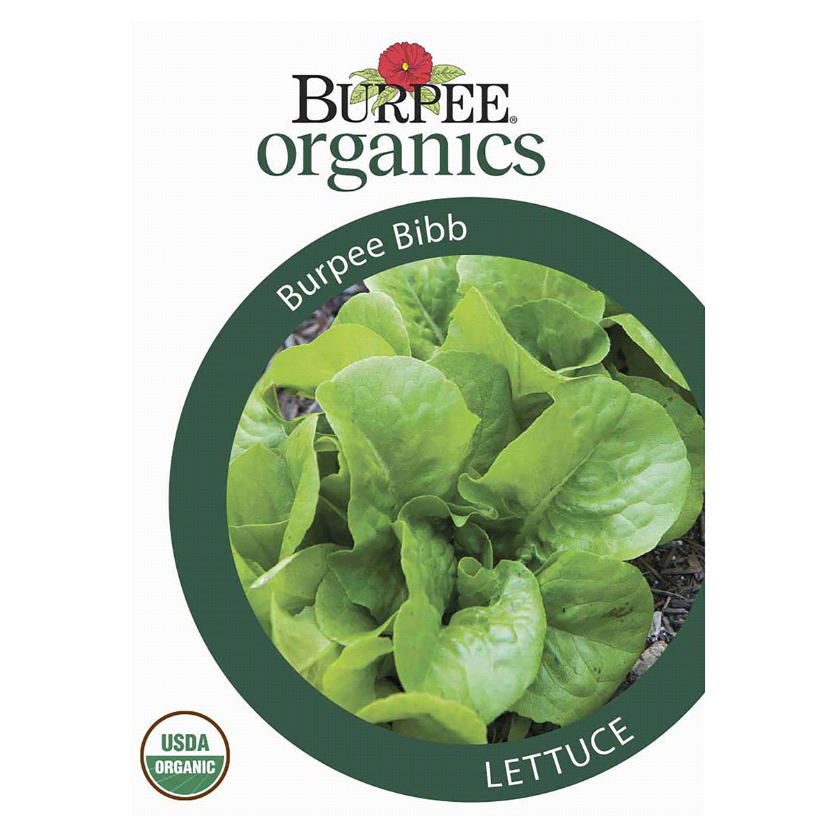 slide 1 of 5, Burpee Organic Lettuce Burpee Bibb Seeds, 1 ct