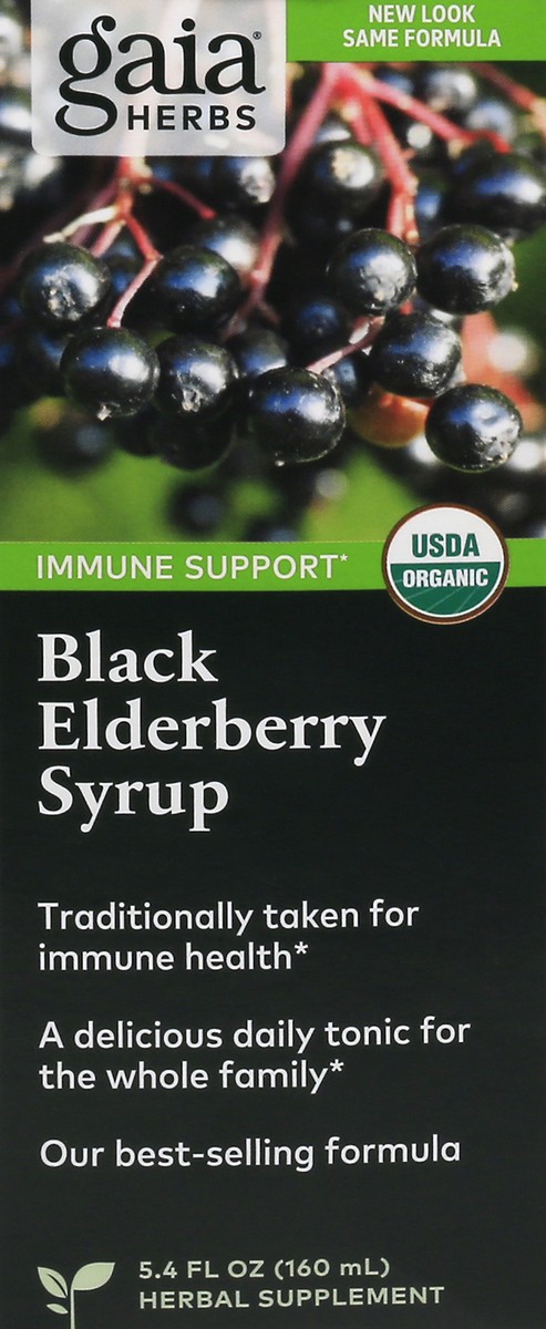 slide 1 of 9, Gaia Herbs Black Elderberry Syrup, 5.4 fl oz