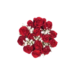 Bloom Haus Hot Red Spray Rose Fresh Flower Bouquet