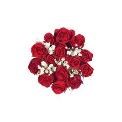 Bloom Haus Hot Red Spray Rose Fresh Flower Bouquet