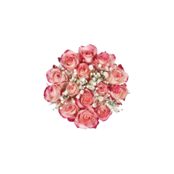 Bloom Haus Novelty Spray Rose Fresh Flower Bouquet