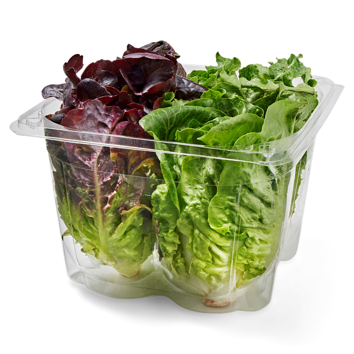 slide 2 of 2, FREDERIKS BY MEIJER Artisan Lettuce Heads, 4 ct, 4 ct