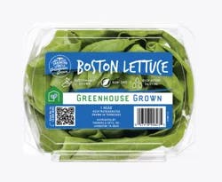 Tanimura & Antle Lettuce 1 ea