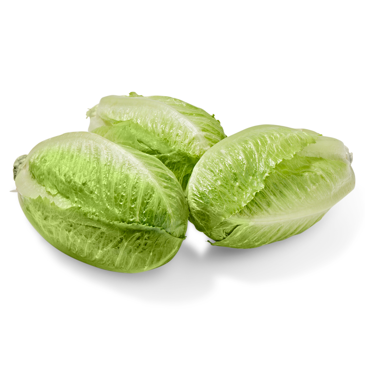slide 2 of 2, Fresh Lettuce Artisan Romaine 8/3ct, 3 ct