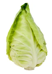 Artisan Dew Drop Cabbage, Each.