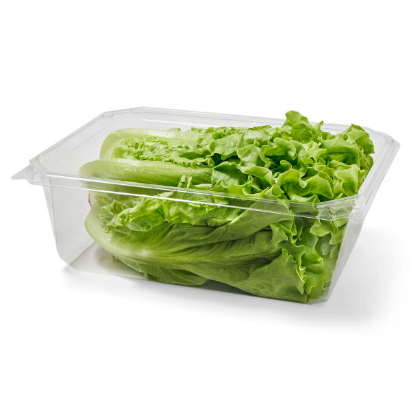 slide 4 of 9, Hydroponic Green Leaf Lettuce, 1 ct