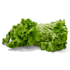 slide 6 of 9, Hydroponic Green Leaf Lettuce, 1 ct