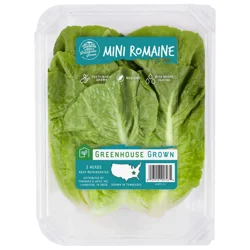 Tanimura & Antle Hydroponic Mini Romaine Lettuce