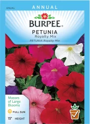 Burpee Royalty Mix Petunia Seeds