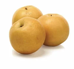 Produce Pear 1 ea