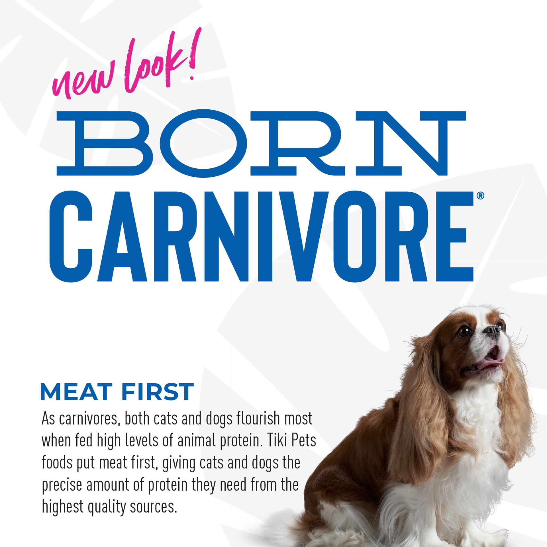 slide 4 of 9, Tiki Dog Born Carnivore Small & Medium Breed All Life Stage Dry Dog Food - Savory Duck, 3.5 lb