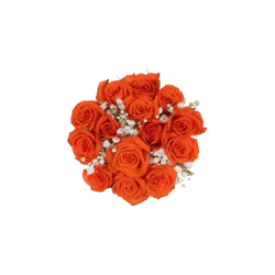 Bloom Haus Orange Spray Rose Fresh Flower Bouquet